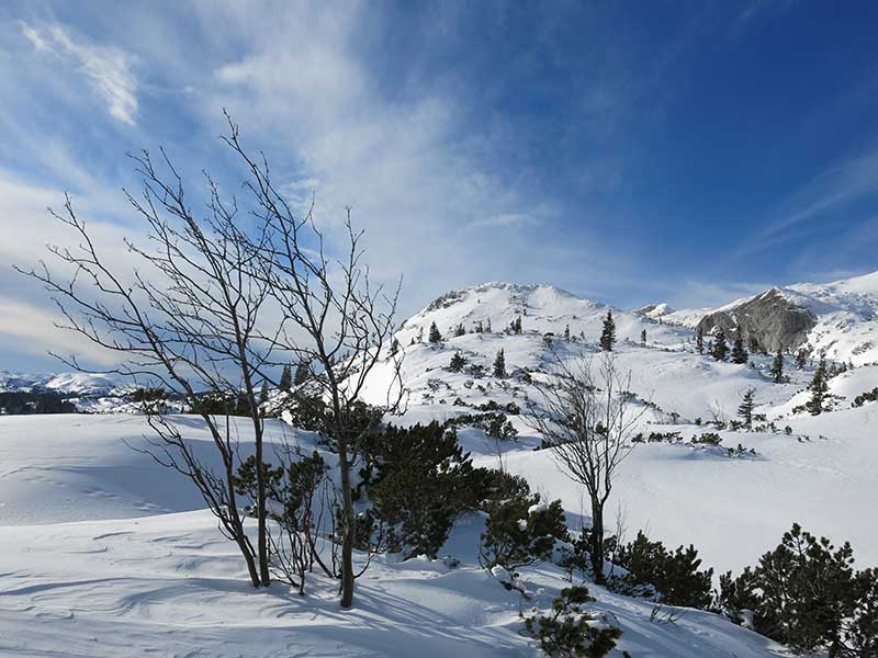 Buchbergkogel